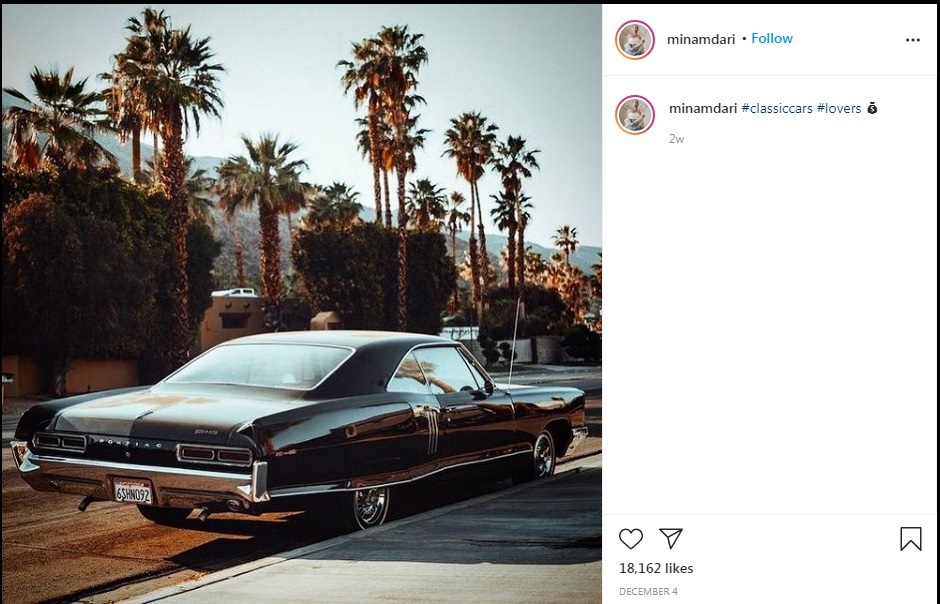 مینا نامداری مینا نامداری