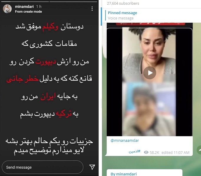 مینا نامداری مینا نامداری