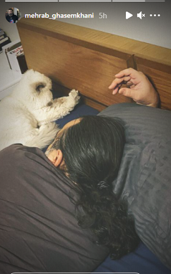 مهراب قاسم خانی مهراب قاسم خانی