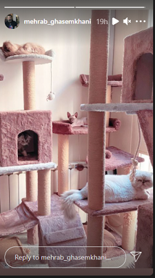 مهراب قاسم خانی مهراب قاسم خانی