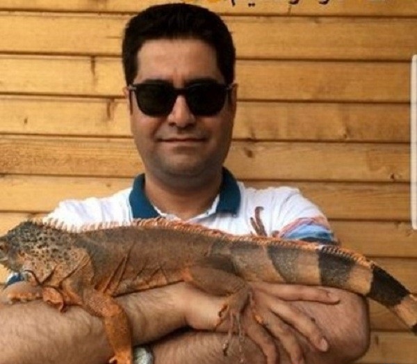 همسر آزاده نامداری همسر آزاده نامداری