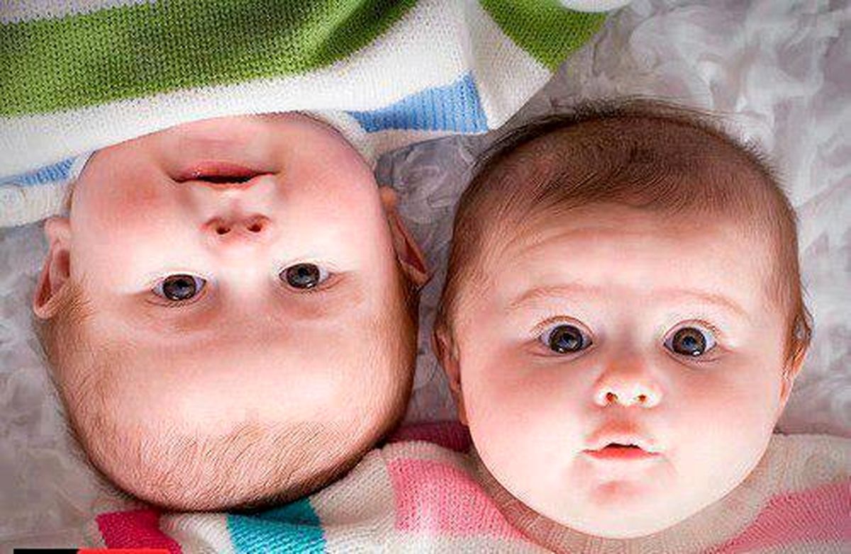 دوقلو دوقلو