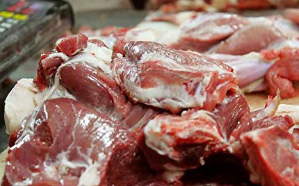 ماجرای یارانه گوشت و مرغ/ نجاری: داریم جامعه را برای تورم سنگین آماده می‌کنیم