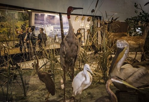 بازدید از موزه تنوع زیستی پارک پردیسان رایگان می‌شود